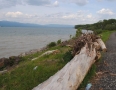 Krimi - Pláž v plameňoch: Horelo naplavené drevo - foto 4.jpg